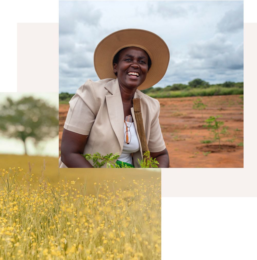 A woman sitting in a tree nursery