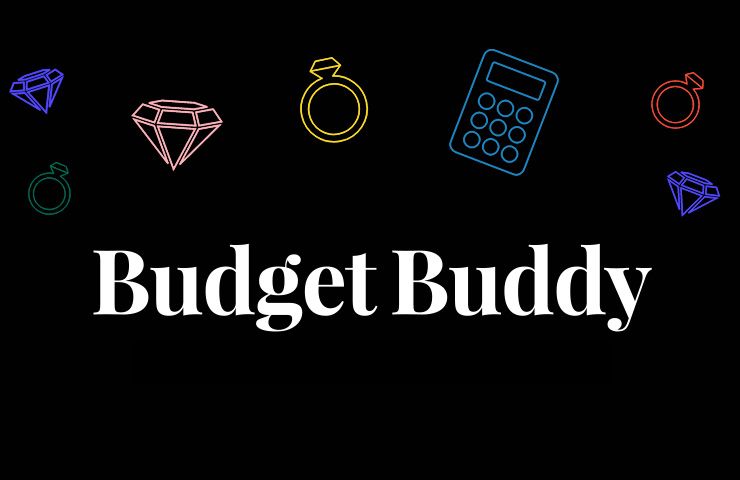 Budget Buddy