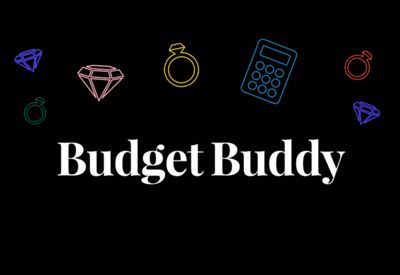 Budget Buddy