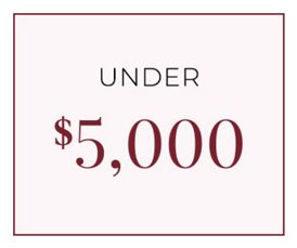Gifts UNDER $5000