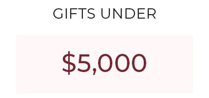 Gifts Under $5,000