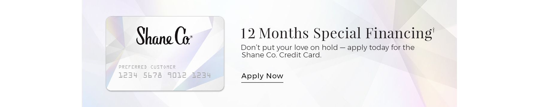 Special 12 Month Financing with the Shane Co Credit Card