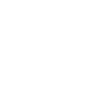 Icon of a shield with a checkmark 