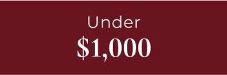 A price banner that says under $1000