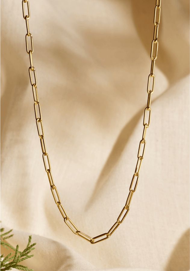 A paper clip chain necklace