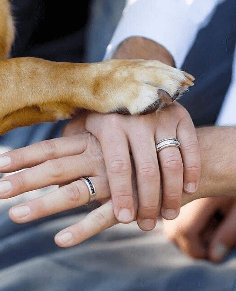 Two groom's hands and a dog's paw stacked on top of each other