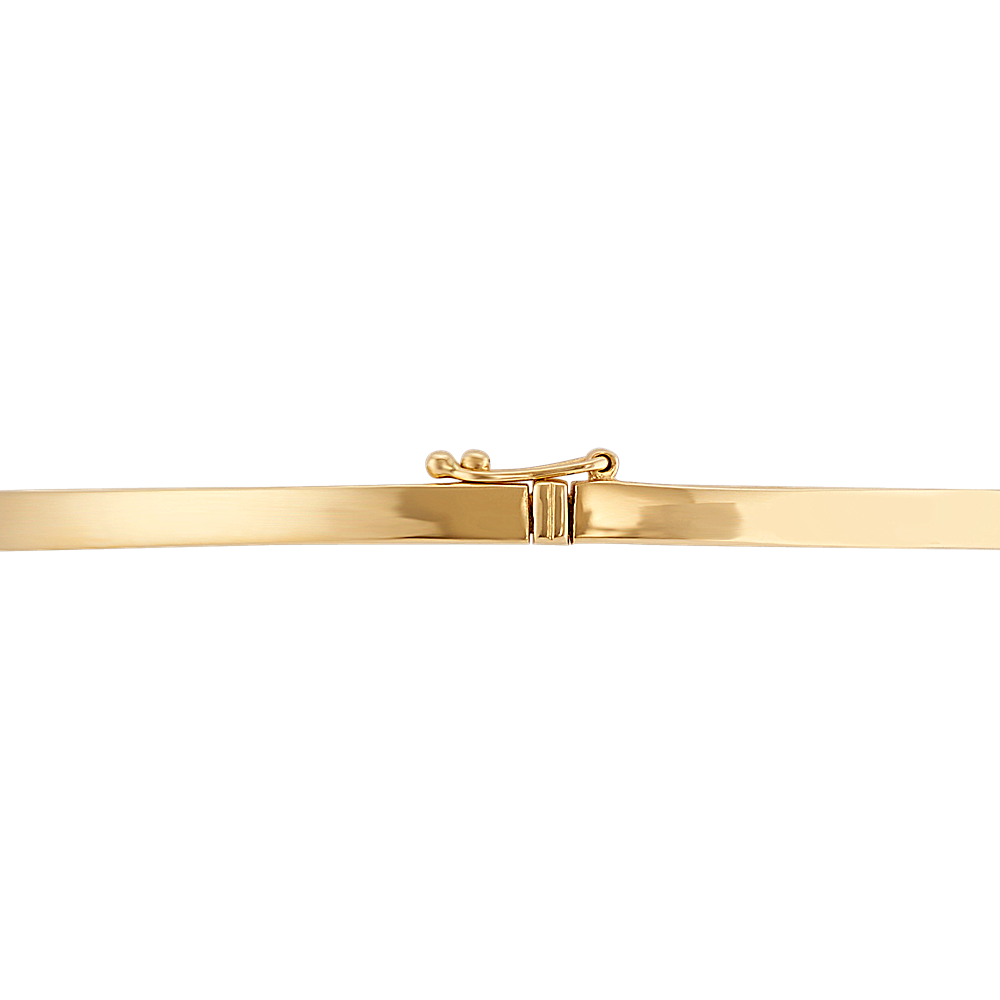 Classic Bangle Bracelet in 14k Yellow Gold (7 in)