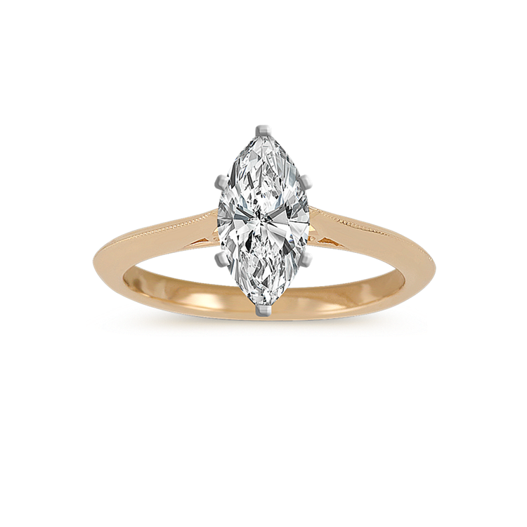 Bliss Knife Edge Cathedral Engagement Ring in 14K Yellow Gold