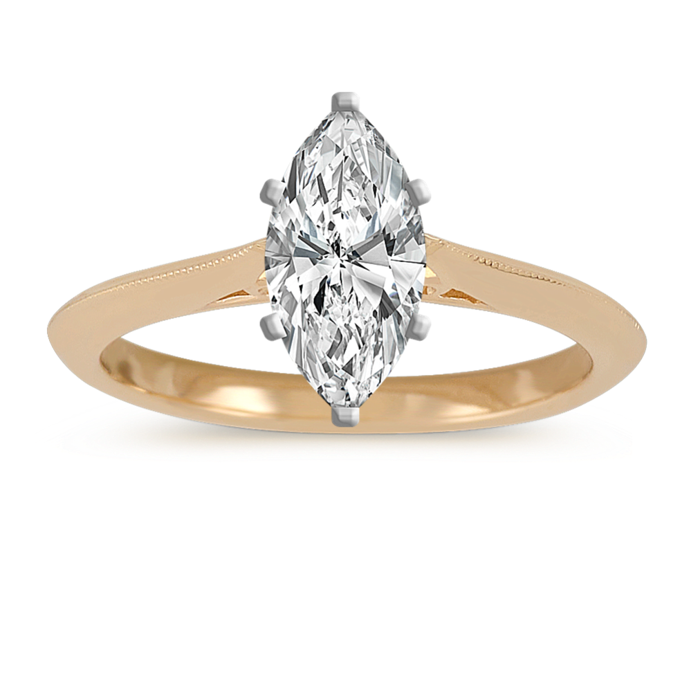 Bliss Cathedral Engagement Ring