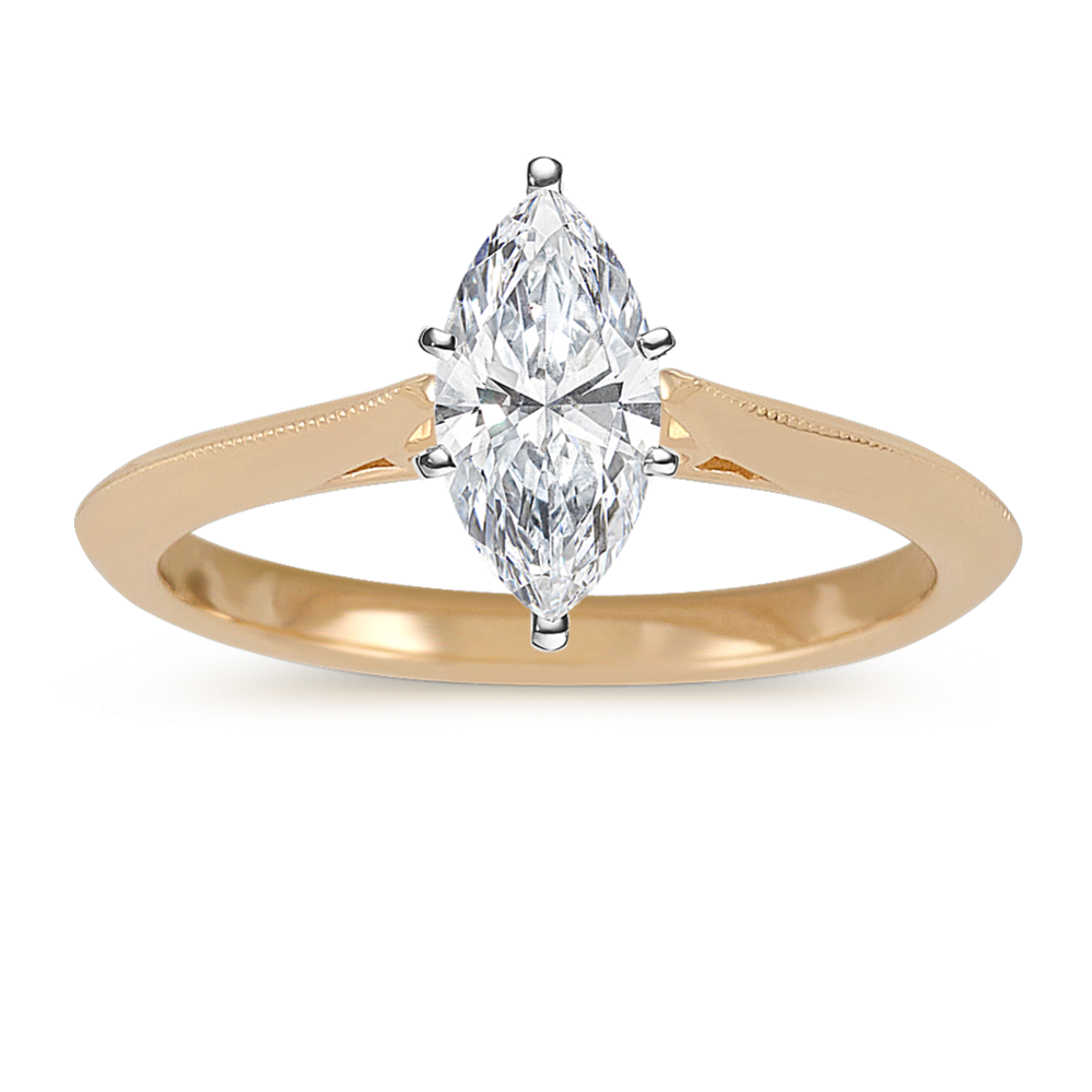 Bliss Cathedral Engagement Ring