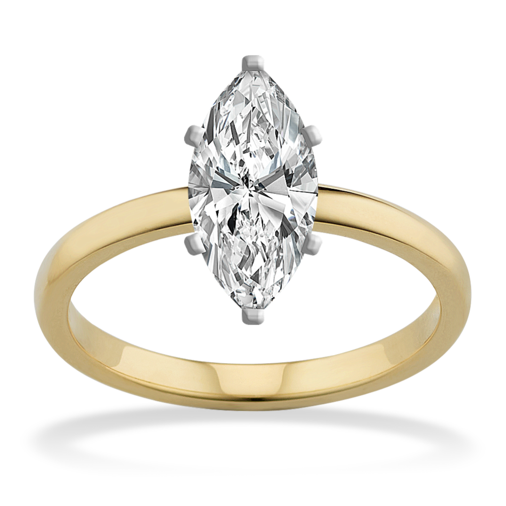 Shane co clearance solitaire
