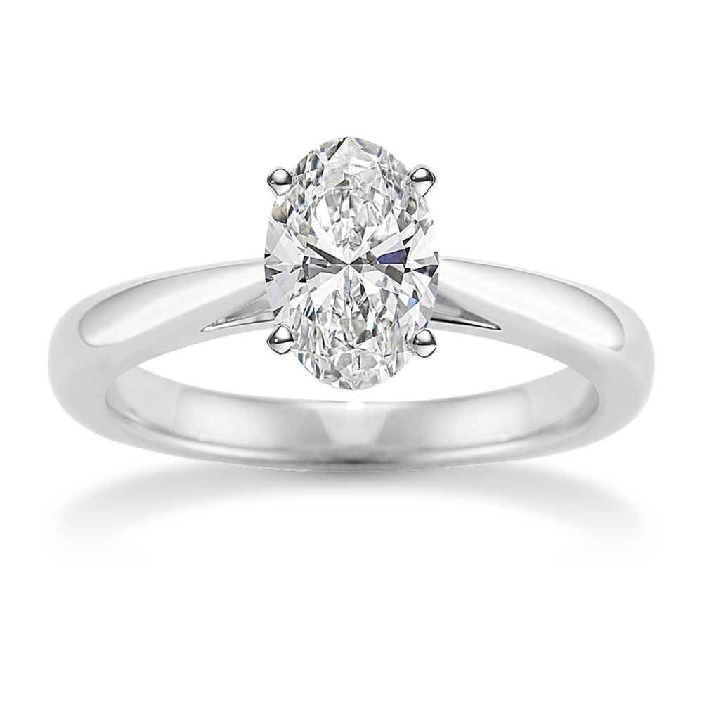 Modena Cathedral Engagement Ring in Platinum
