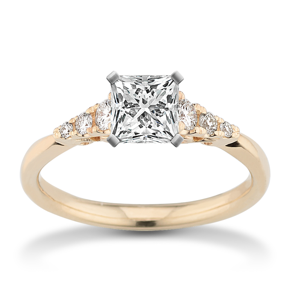 Lucette Cathedral Engagement Ring