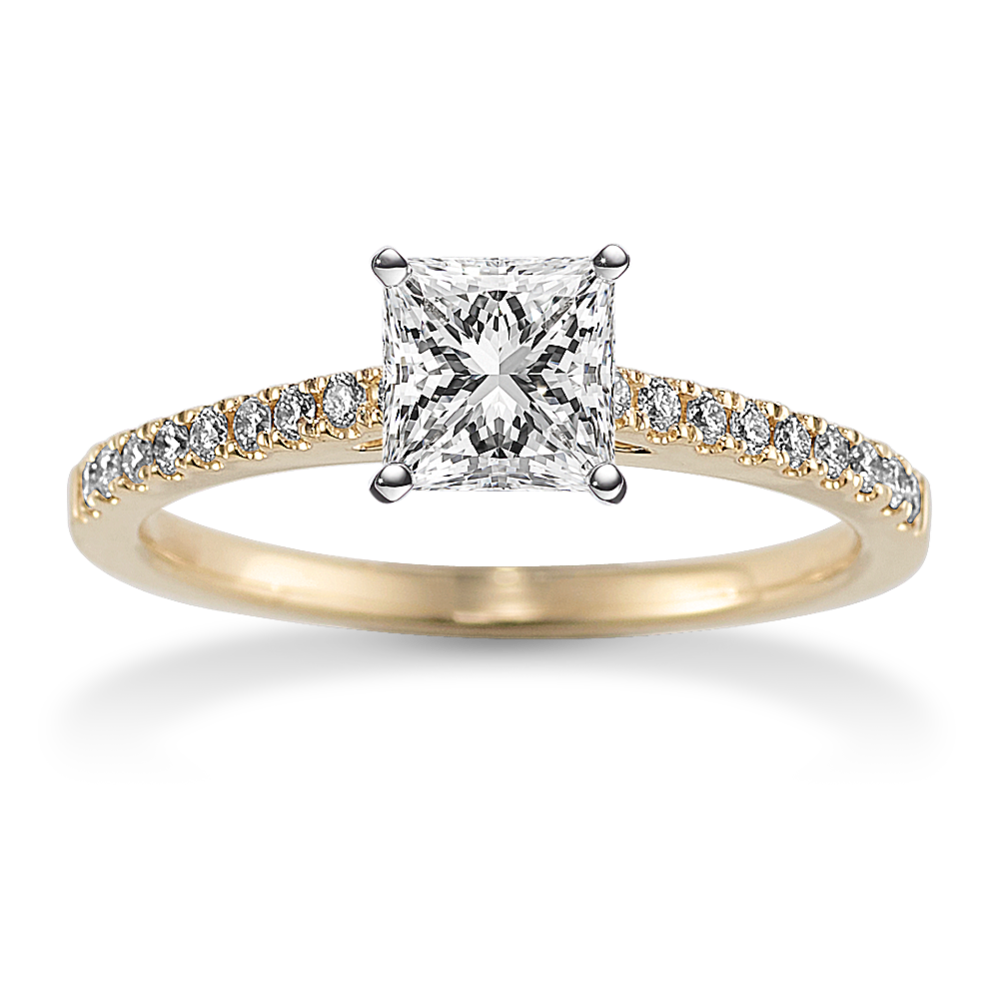 Melody Cathedral Engagement Ring