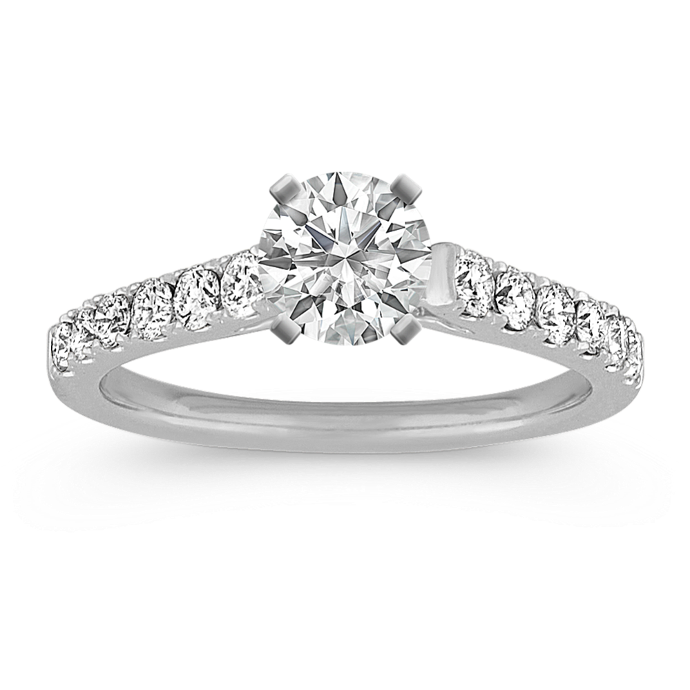 Larissa Cathedral Engagement Ring in Platinum
