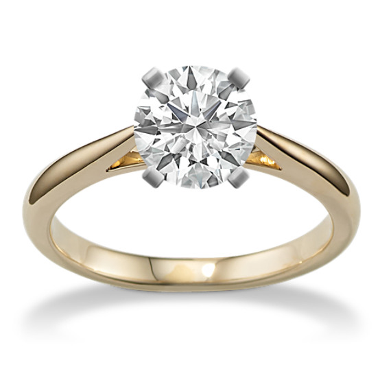 Modena Cathedral Engagement Ring in 14K Yellow Gold
