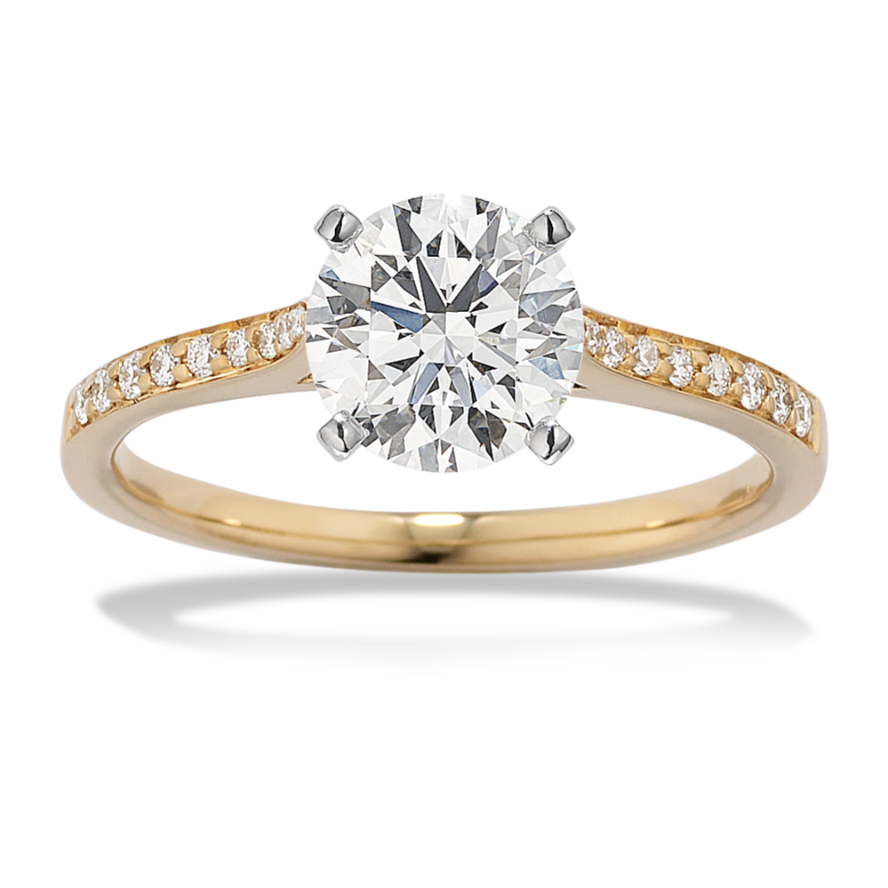Ileana Cathedral Engagement Ring