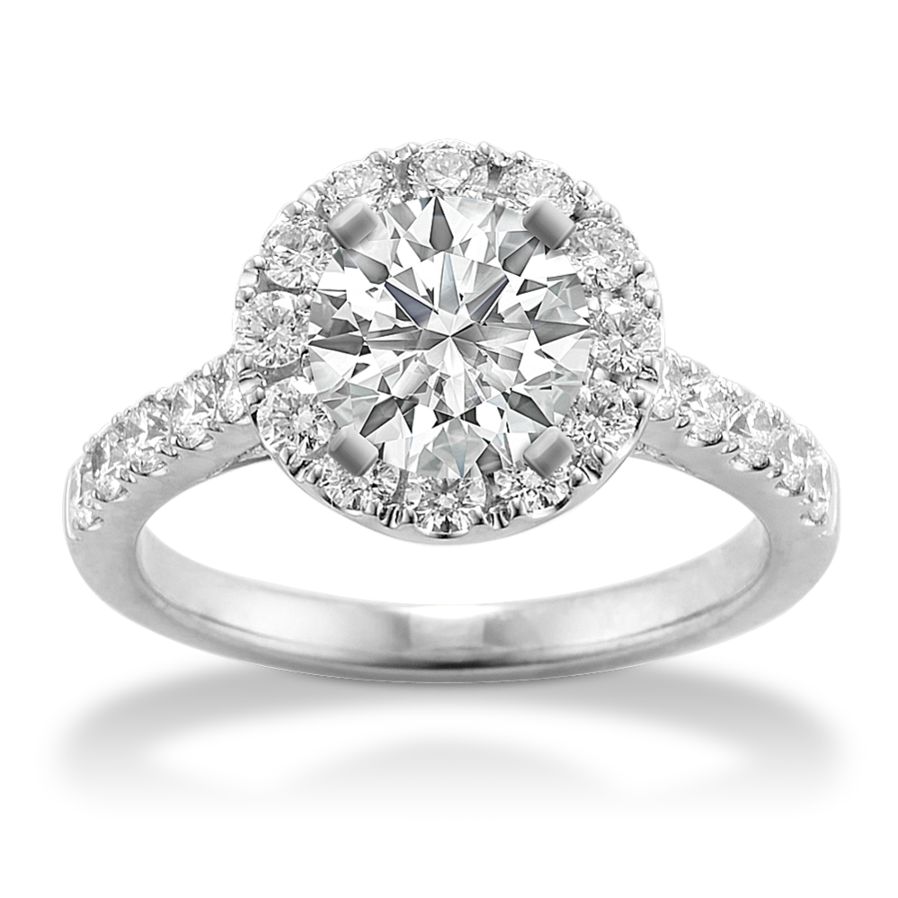 Petra Halo Engagement Ring in Platinum