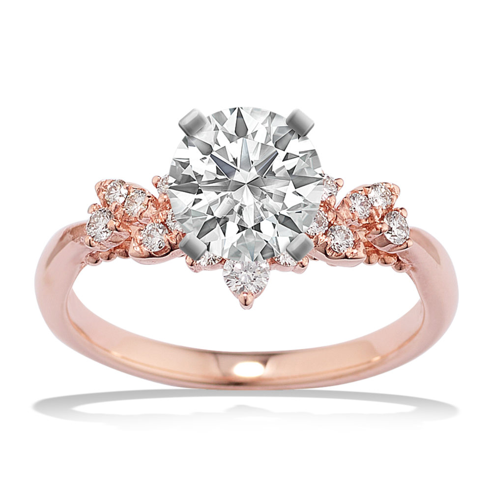 Shane co rose gold hotsell