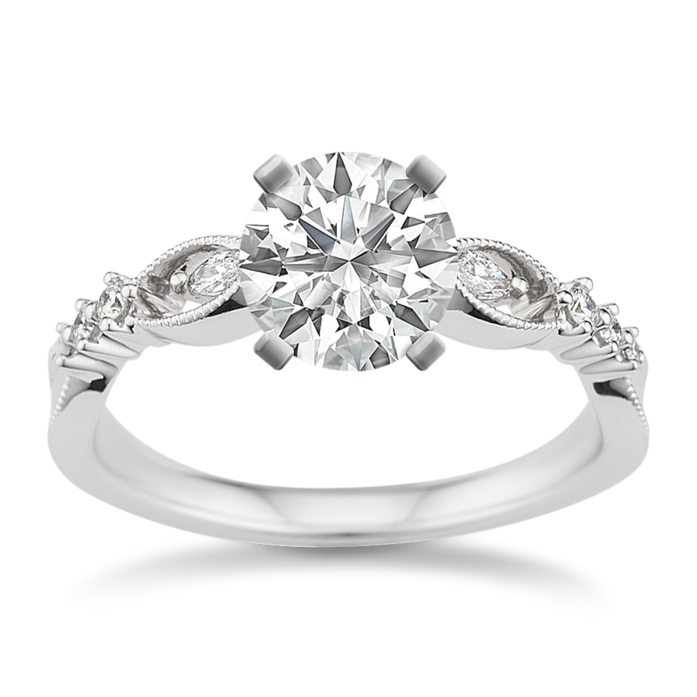 Shane co engagement 2025