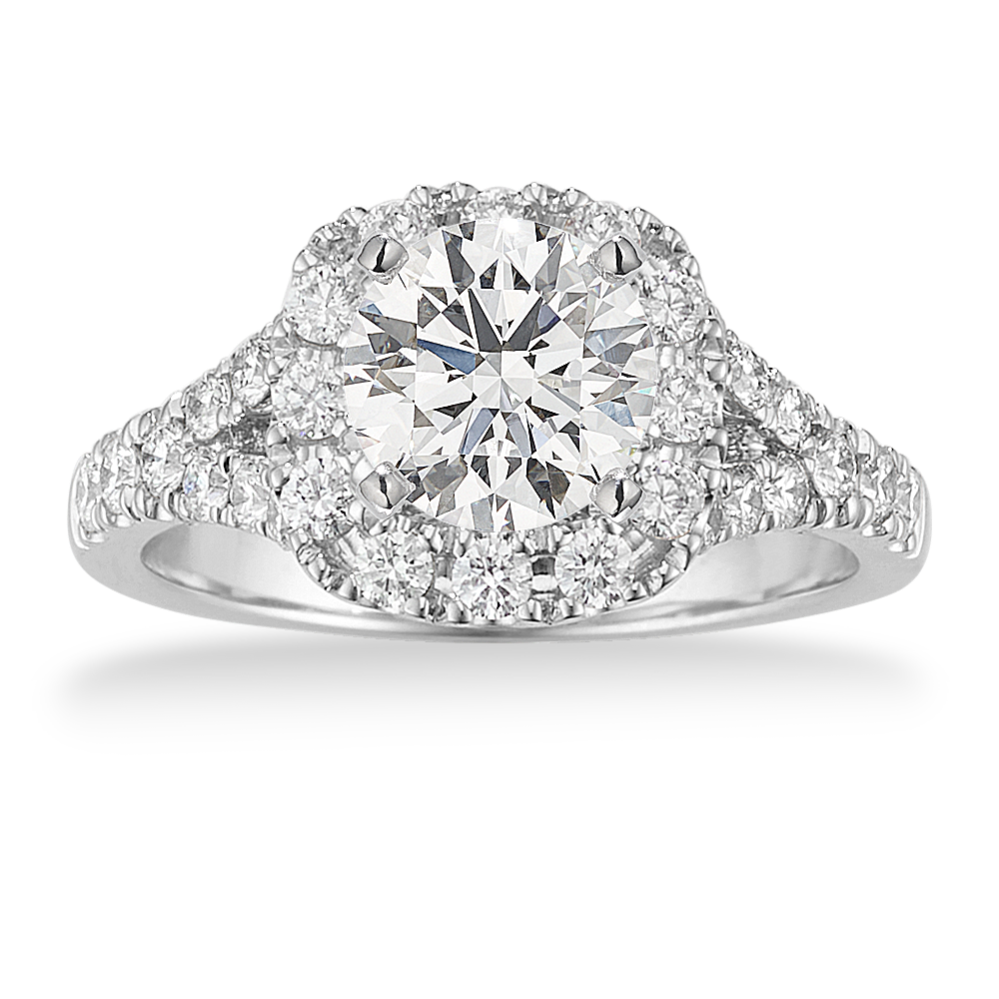 Contessa Halo Engagement Ring in Platinum