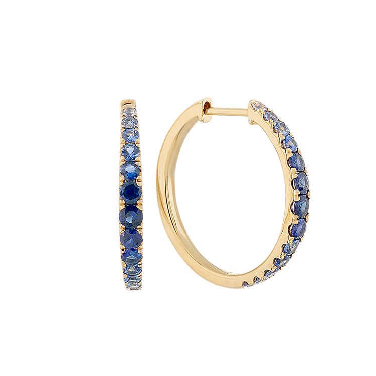 Multi Colored Blue Natural Sapphire Hoop Earrings