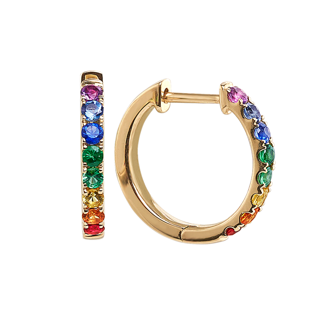 Rainbow hoop outlet earrings gold