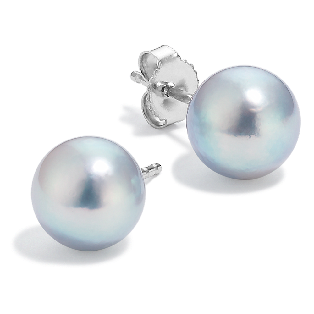 7mm Blue Cultured Akoya Pearl Earrings in 14K White Gold