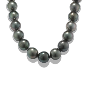 Shane co pearl necklace sales