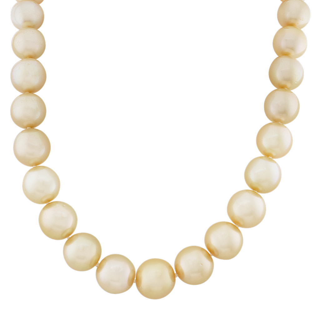 11-14mm Golden South Sea Cultured Pearl Strand (18 in.)