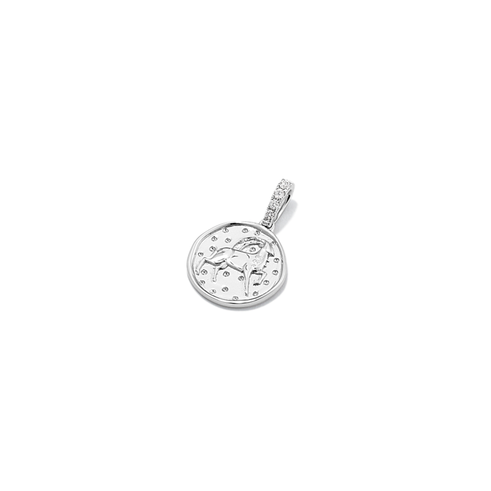 Capricorn Diamond Accent Zodiac Charm