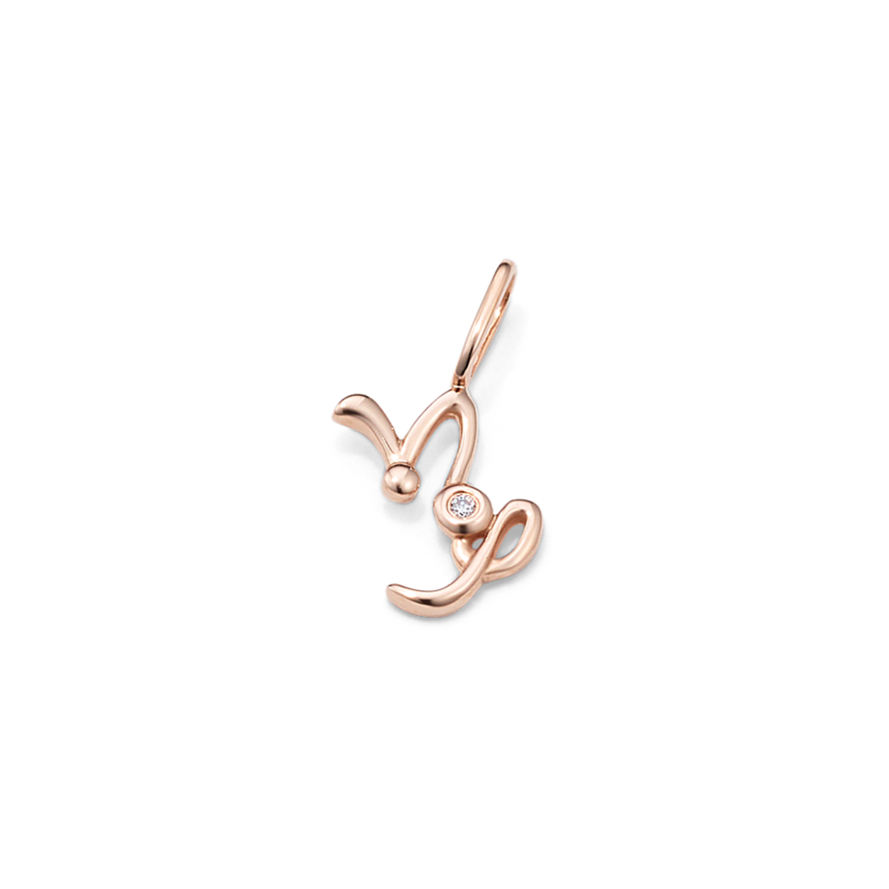Capricorn Sign Diamond Charm