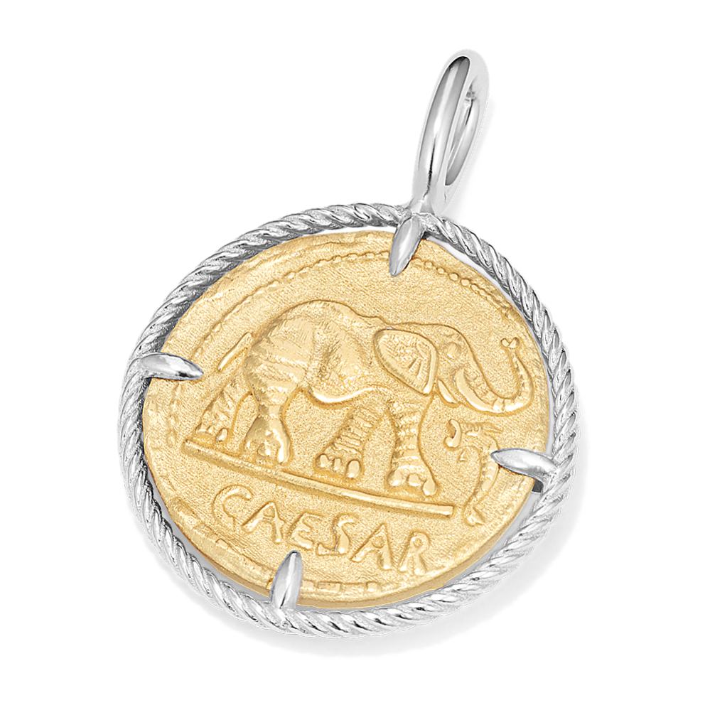Elephant Coin Charm in Vermeil 14K Gold