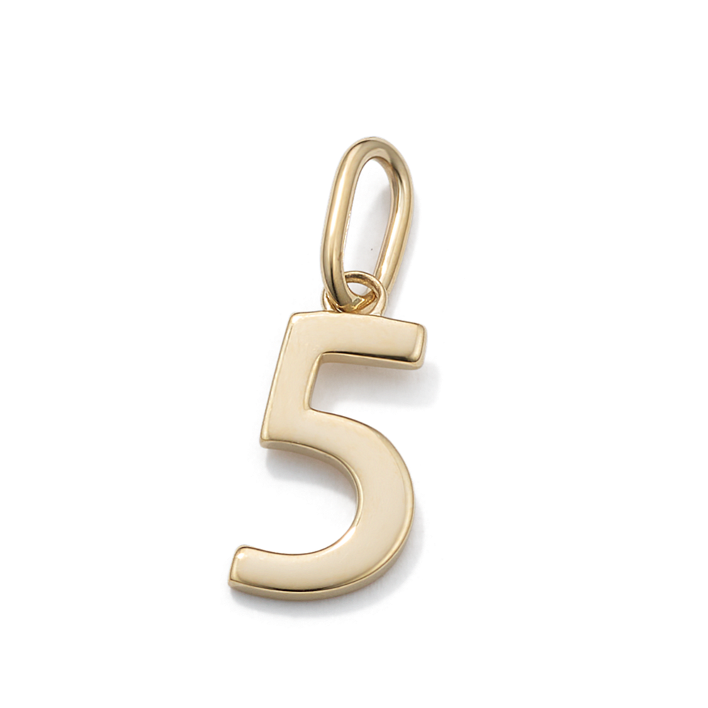 14K Yellow Gold Number 5 Charm