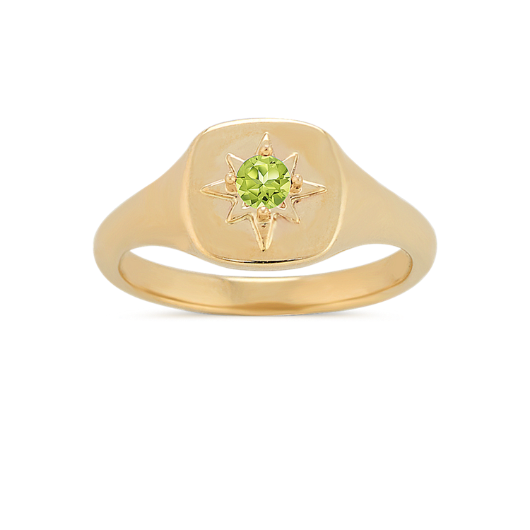 Pick-Your-Gemstone North Star Signet Ring in 14k Yellow Gold