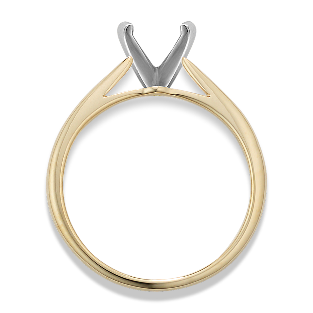 Modena Cathedral Engagement Ring | Shane Co.
