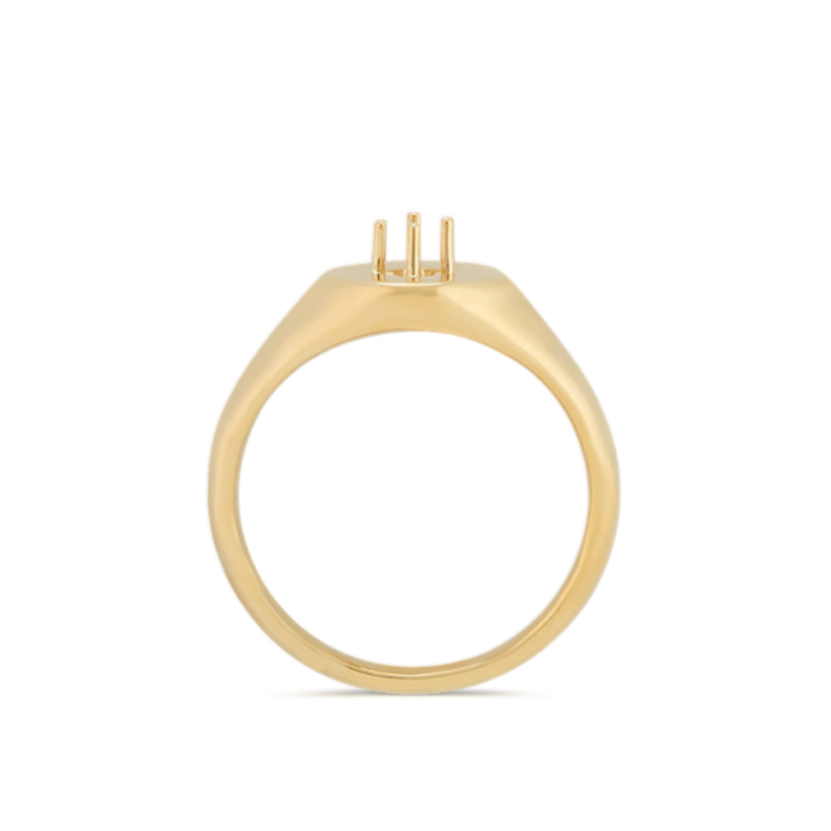Nova Signet Ring in 14k Yellow Gold
