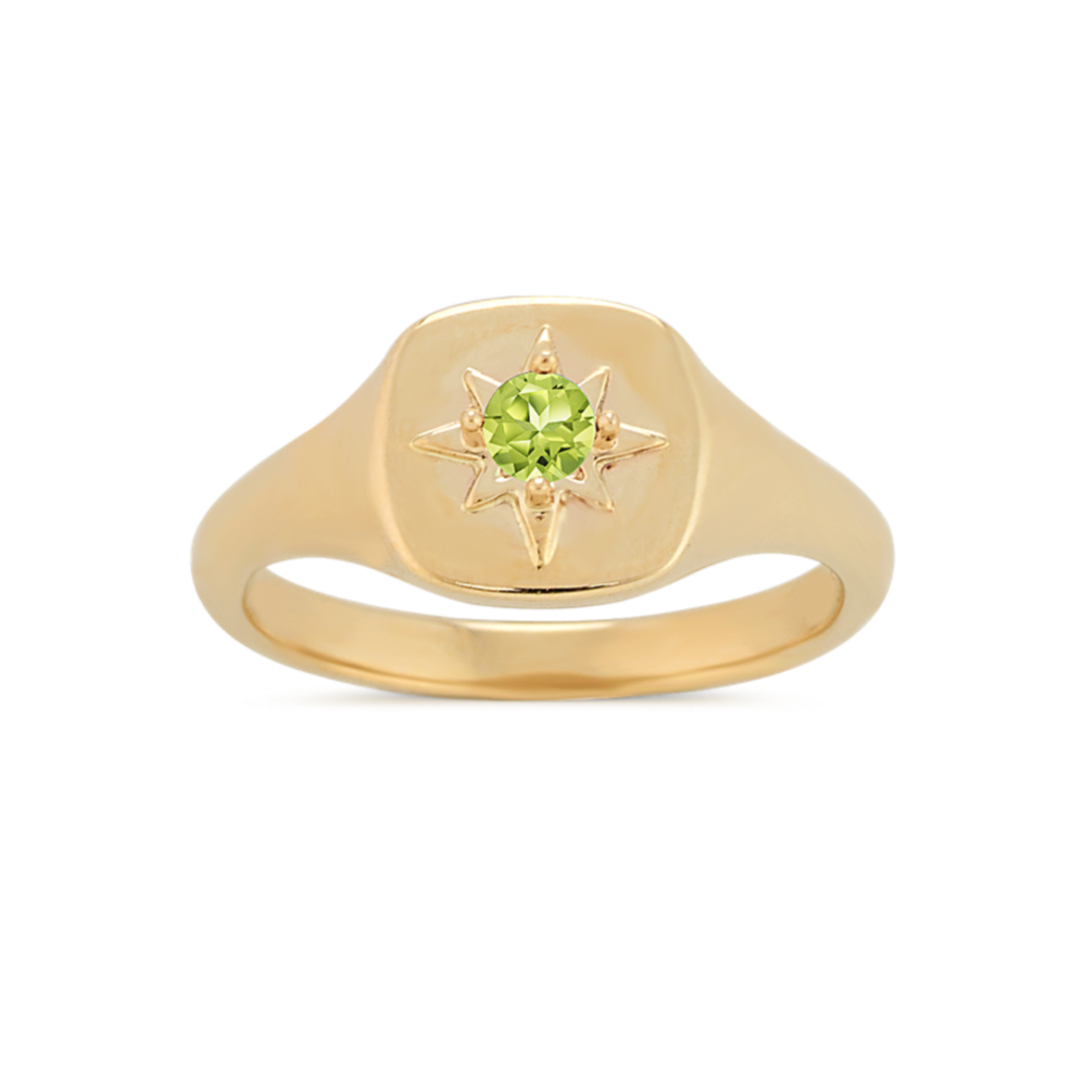 Pick-Your-Gem North Star Signet Ring in 14k Yellow Gold