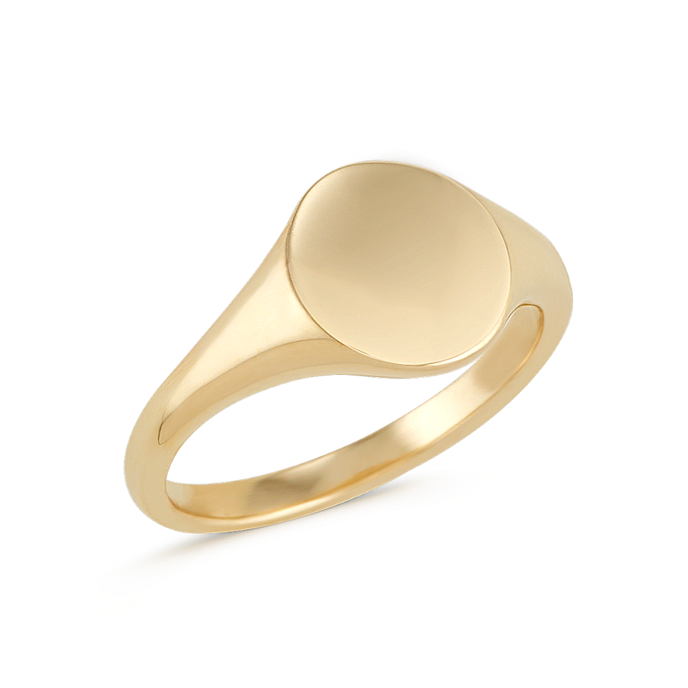Klassiek maximaliseren Vermelding Story Engravable Signet Ring in 14K Yellow Gold | Shane Co.