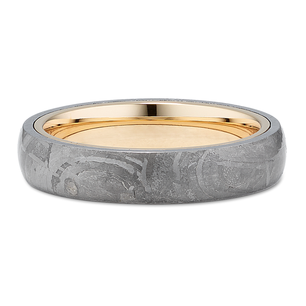 Meteorite & 14K Yellow Gold Band (5mm)